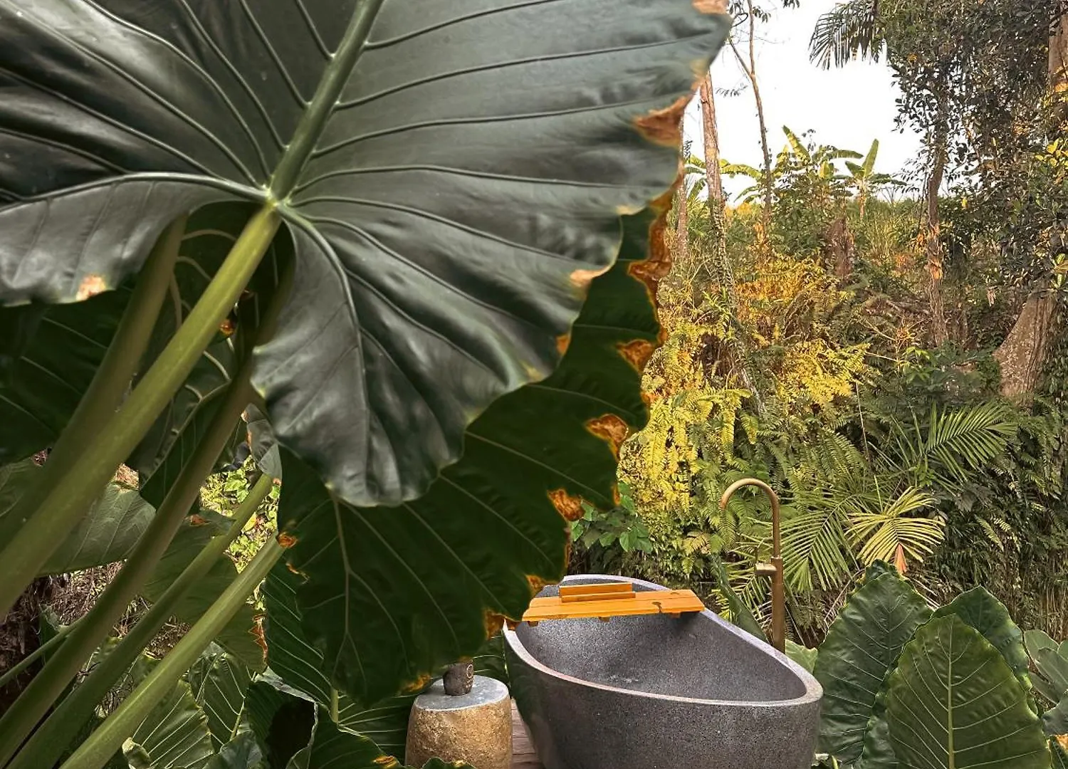 Hotel Wahem Eco Bamboo Ubud Indonezja